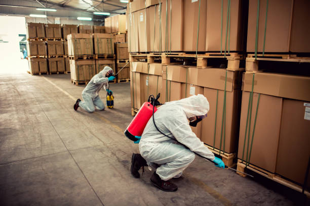 Trusted Solana, FL Pest Control Experts