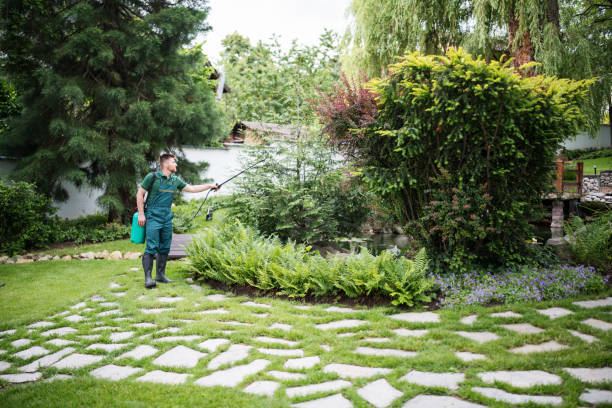 Pest Control Cost in Solana, FL