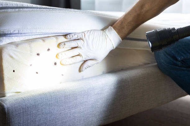 Best Pest Removal Services  in Solana, FL